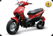 ZB 125R Xenon